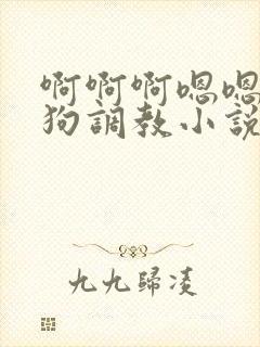 啊啊啊嗯嗯嗯母狗调教小说封面