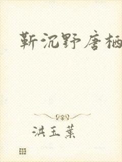靳沉野唐栖雾