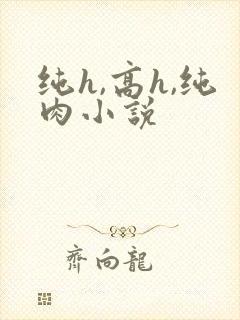 纯h,高h,纯肉小说