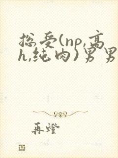 总受(np,高h,纯肉)男男