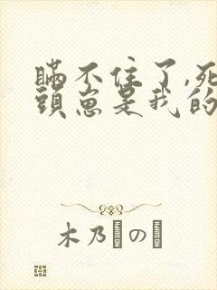 瞒不住了,死对头崽是我的小说免费阅读下载