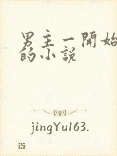 男主一开始扮丑的小说