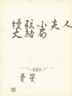 续弦小夫人春喜大结局