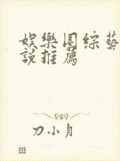 娱乐圈综艺的小说推荐