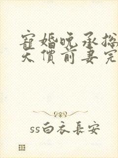 宠婚晚承总裁的天价前妻完整版