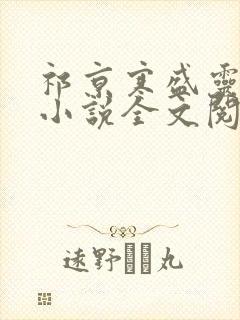 祁京寒盛灵盛音小说全文阅读阅读
