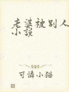 老婆被别人操了小说