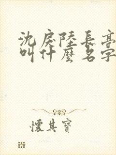 沈戾陆长亭小说叫什么名字