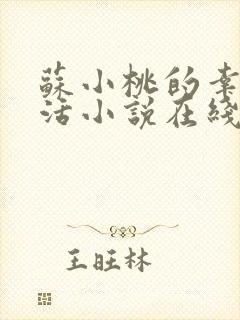 苏小桃的幸福生活小说在线阅读