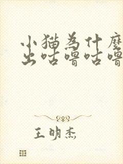 小猫为什么会发出咕噜咕噜的声音