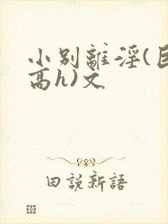 小别离淫(巨肉高h)文