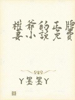 权爷的正牌小娇妻小说免费阅读