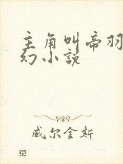 主角叫帝羽的玄幻小说封面