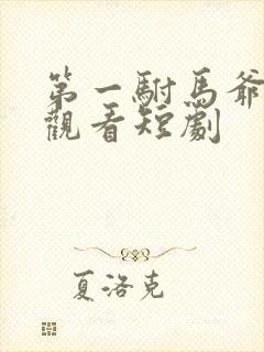 第一驸马爷免费观看短剧