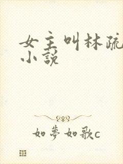 女主叫林疏月的小说