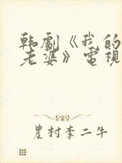 韩剧《我的邻居老婆》电视剧