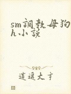 sm调教母狗高h小说