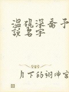 温砚深乔予安小说名字
