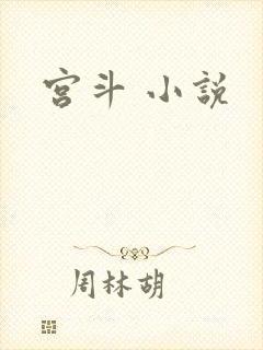 宫斗 小说