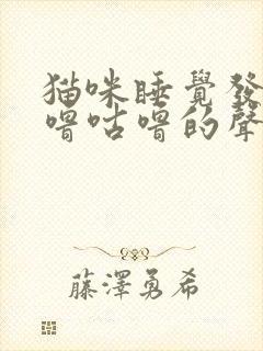 猫咪睡觉发出咕噜咕噜的声音