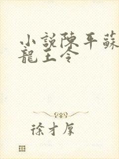 小说陈平苏雨琪龙王令封面