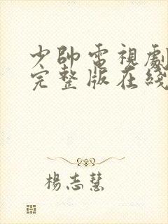 少帅电视剧免费完整版在线看高清