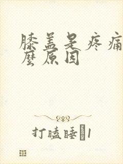 膝盖是疼痛是什么原因