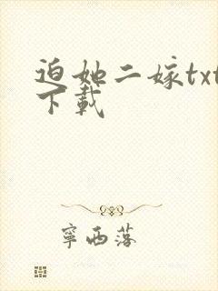 迫她二嫁txt下载
