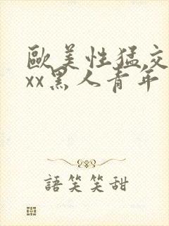 欧美性猛交xxxx黑人青年封面