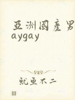 亚洲国产男同gaygay封面