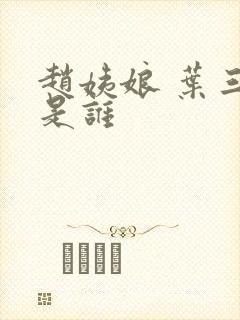 赵姨娘 叶三少是谁