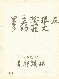 男主阴狠反派肉多的宠文