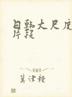 日韩大尺度床戏片段