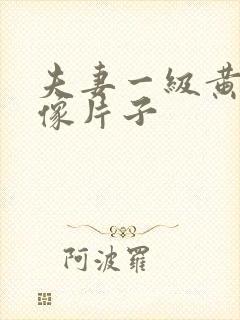 夫妻一级黄色录像片子封面