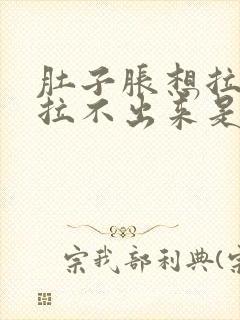 肚子胀想拉屎又拉不出来是怎么回事封面