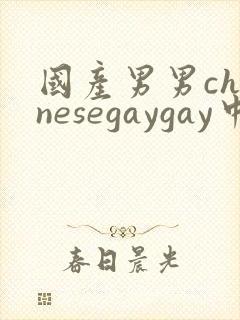 国产男男chinesegaygay中国帅哥网站