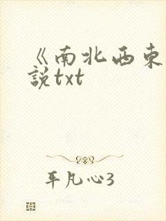 《南北西东》小说txt