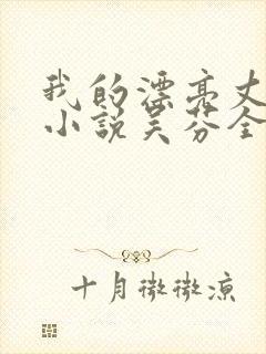 我的漂亮丈母娘小说吴芬全文阅读