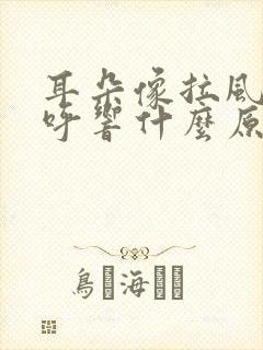 耳朵像拉风箱呼呼响什么原因