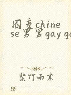 国产chinese男男gay gay180封面