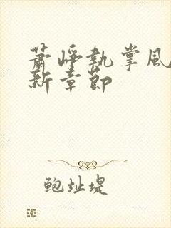 萧峥执掌风云最新章节