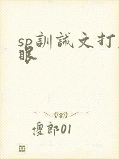 sp训诫文打屁眼
