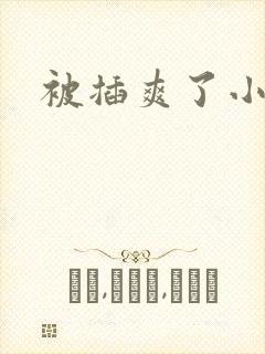 被插爽了小说