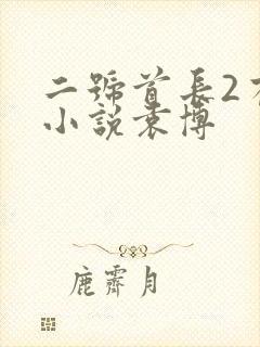 二号首长2有声小说袁博