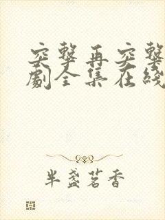 突击再突击电视剧全集在线看