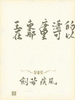 王东唐潇的小说在哪里可以看