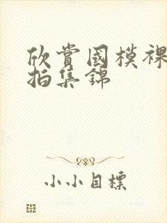 欣赏国模裸体私拍集锦