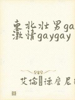 东北壮男gay激情gaygay