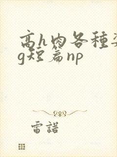 高h肉各种姿势g短篇np