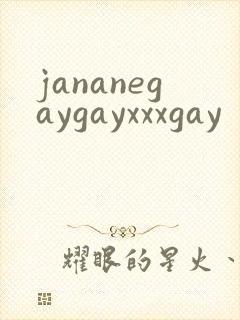 jananegaygayxxxgay封面